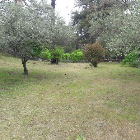 Villa Leo Glykadi Extérieur photo