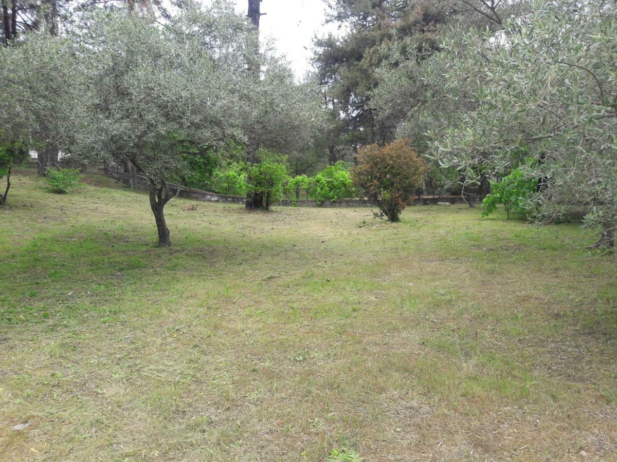 Villa Leo Glykadi Extérieur photo